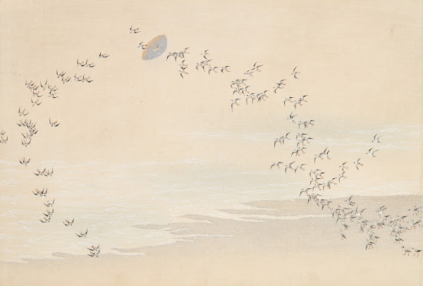 A Thousand Grasses Pl09 1900