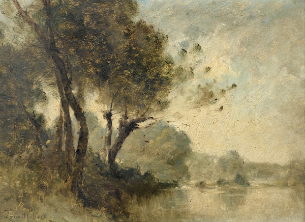Arbres au bord dun fleuve