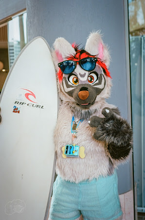 furdu-20.jpg