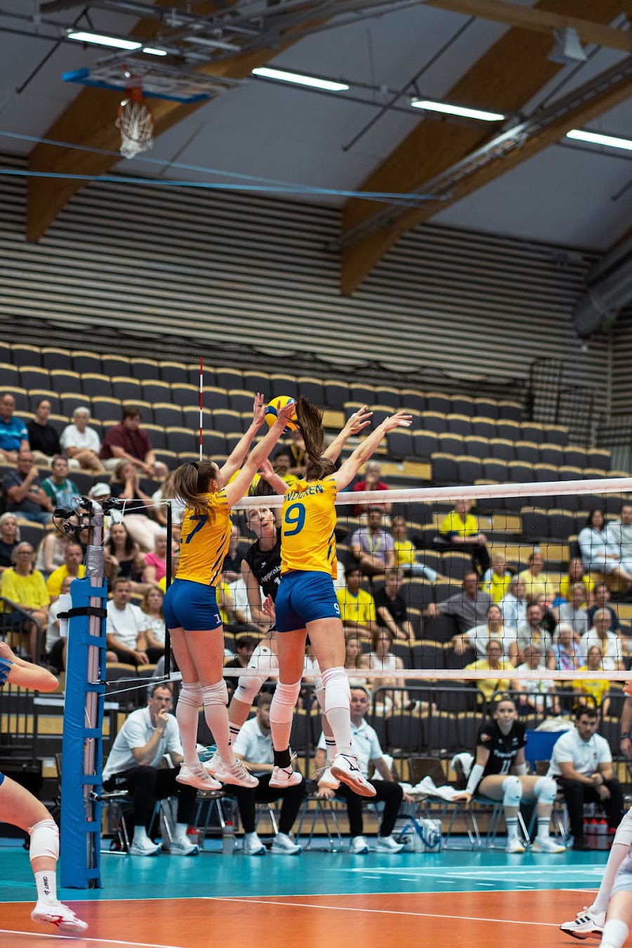 Sweden Hungary 263
