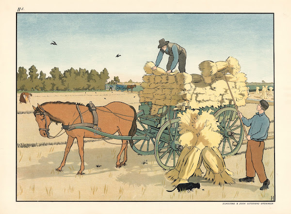 Harvest work 1904
