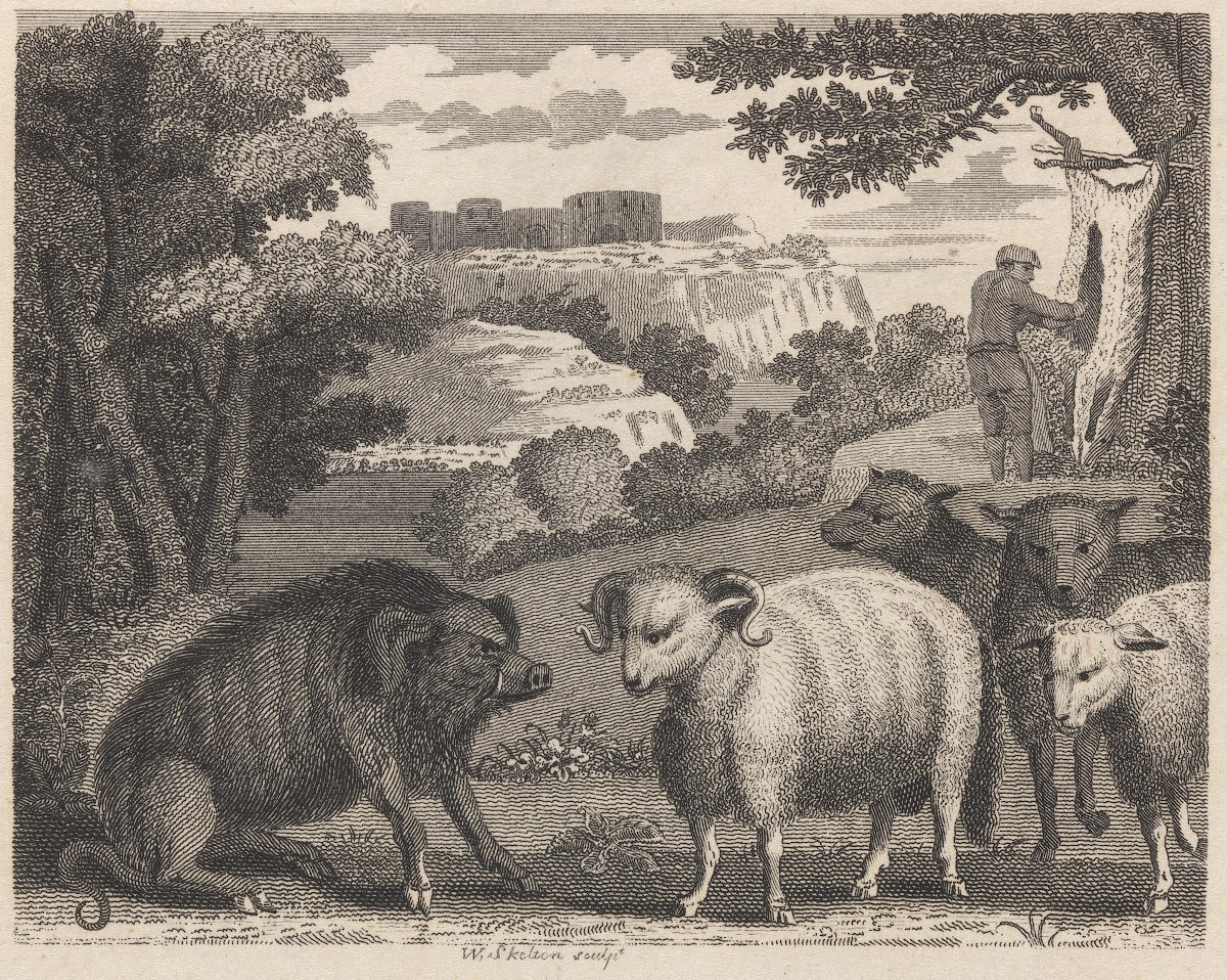 Fable V The Wild Boar and the Ram 1793