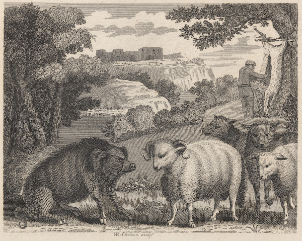 Fable V The Wild Boar and the Ram 1793