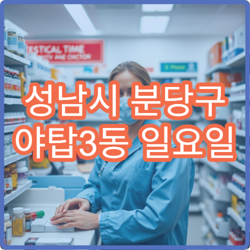 성남시 분당구 야탑3동 일요일 당번약국 응급 대비 약국