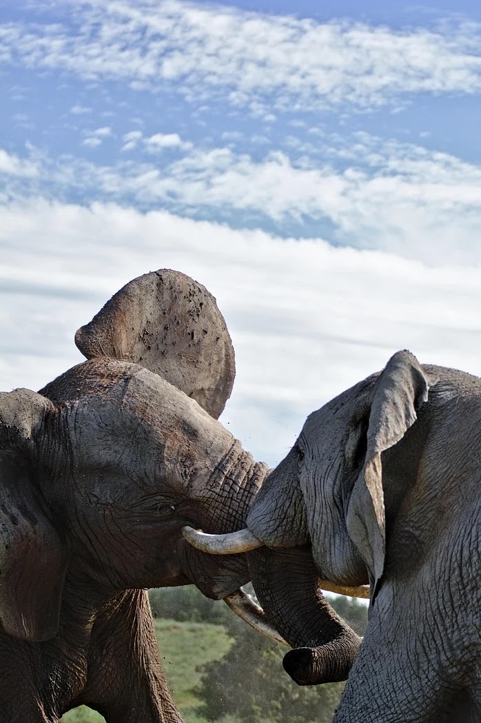 MBTI 유형별 갈등 발생 원인과 해결 전략