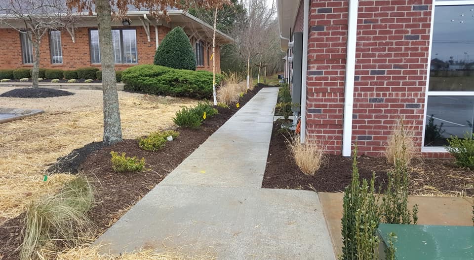 A concrete sidewalk runs alongside a red brick building with new landscaping including mulch, small shrubs, and straw.