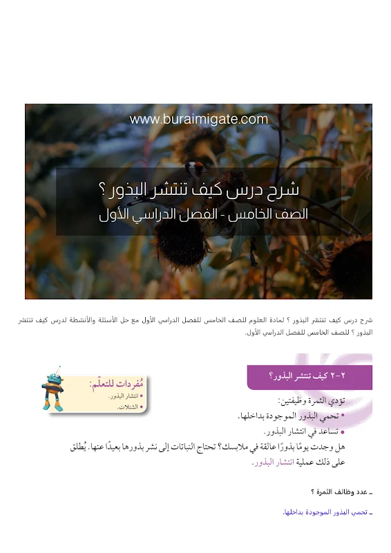 صورة الغلاف