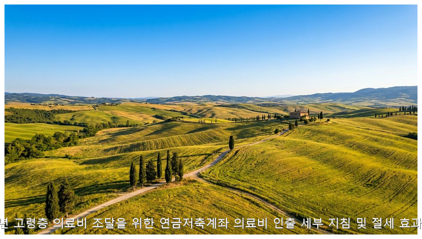 2026년 연금저축 의료비 인출로 세금 70% 아끼는 법 핵심 안내 및 분석 인포그래픽 (5)