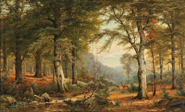 Roe deer in the forest