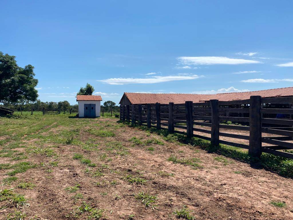 Fazenda em Arinos - MG 10