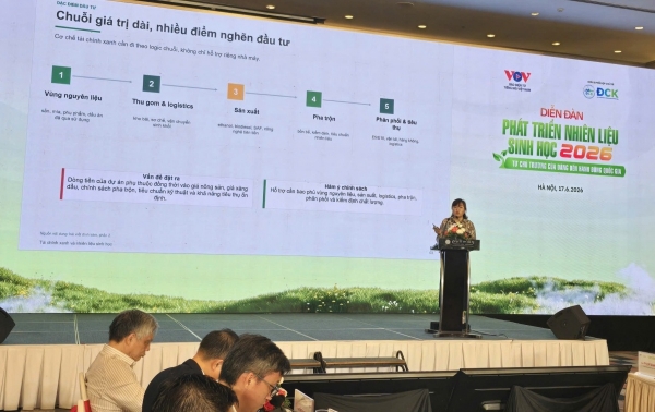 E10 - Đòn bẩy tài chính cho ngành nhiên liệu sinh học Việt Nam