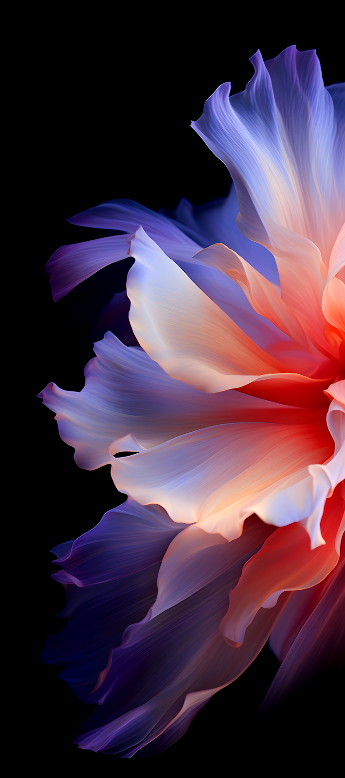 Luminous Gradient Abstract Flower Petals - Generative Abstract Art Full HD iPhone Wallpaper (1080x2436)