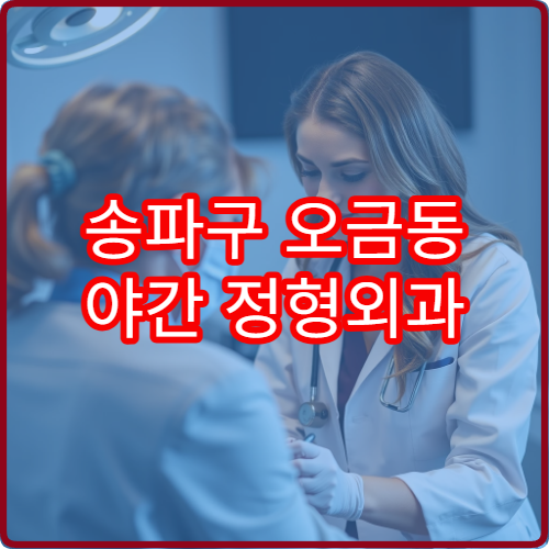 송파구 오금동 야간 정형외과 진료 병원 무릎 허리 통증 치료 안내