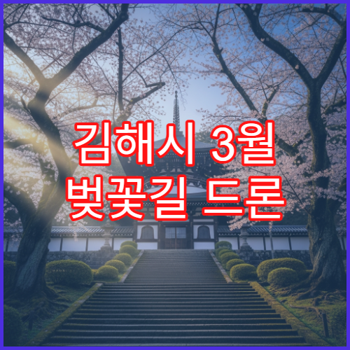 김해시 3월 벚꽃길 드론 없이도 예쁘게 찍는 사진 팁
