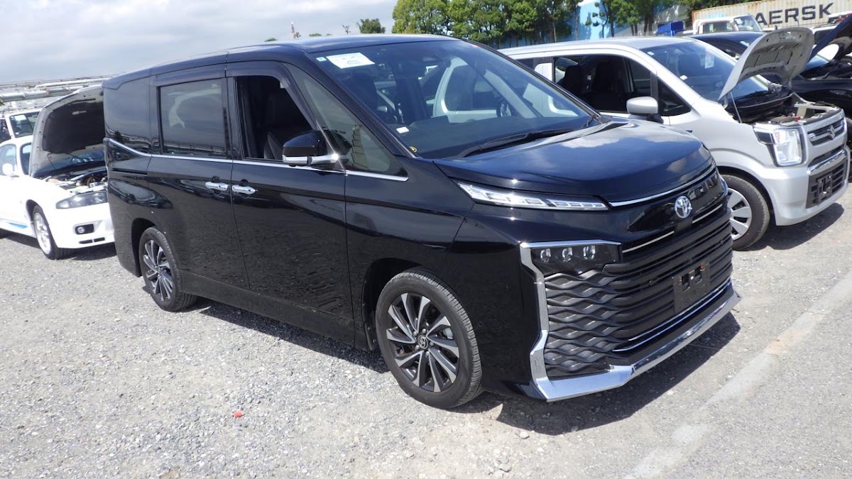 Voxy Hybrid