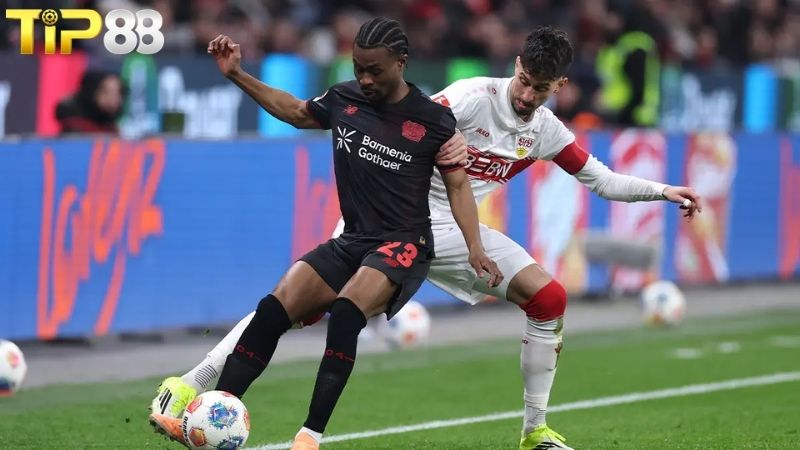 Lịch sử đối đầu giữa Hamburg vs Bayer Leverkusen