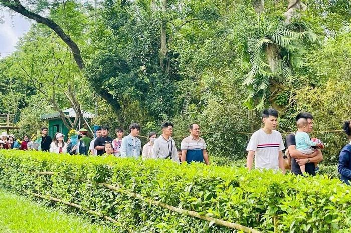 Về Kim Liên trong ngày tháng Năm – triệu trái tim hướng về Bác Hồ - Báo Tri thức &amp; Cuộc sống