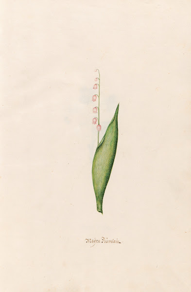 Maÿen Blümlein 1692
