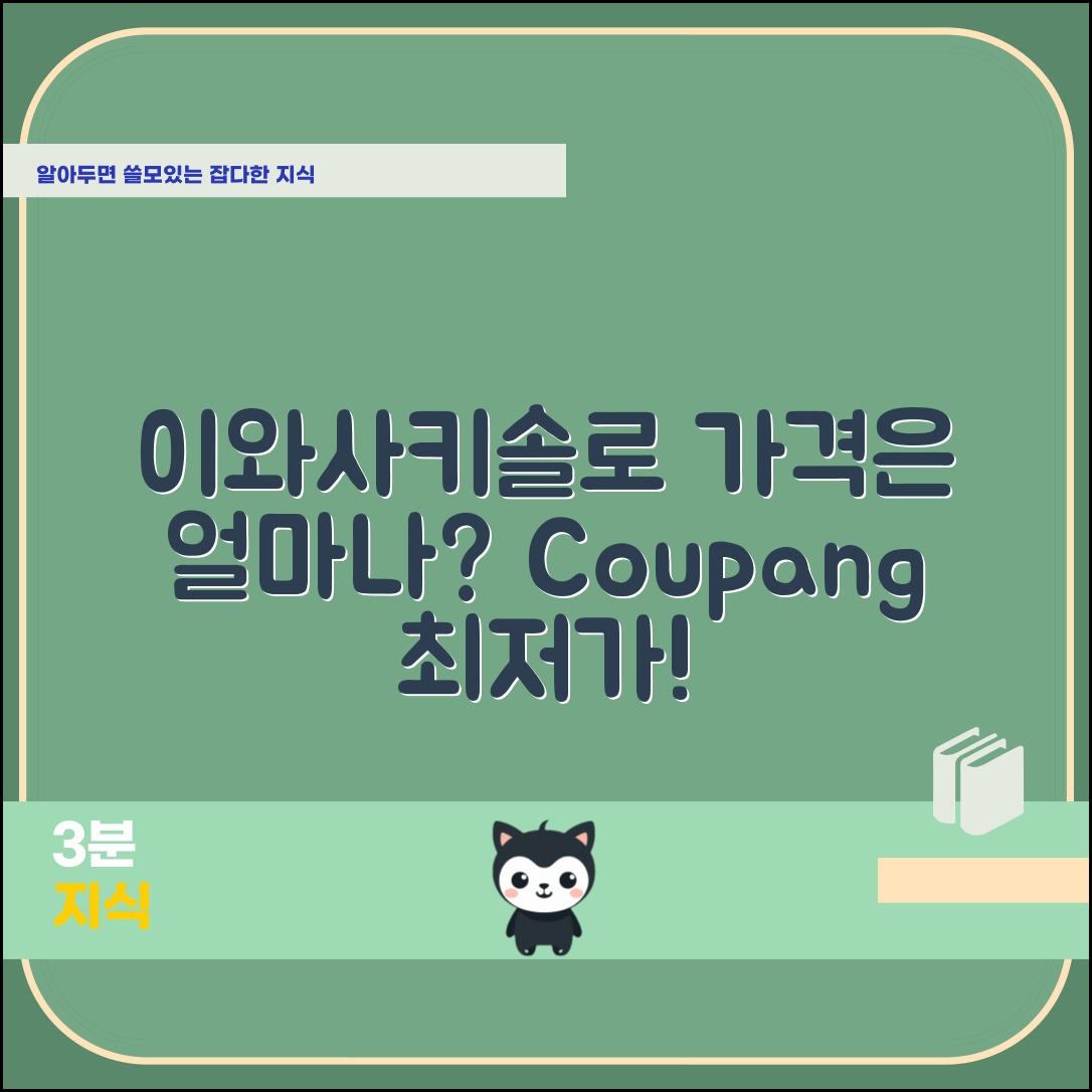 이와사키솔로 가격, 과연 얼마나 할까?