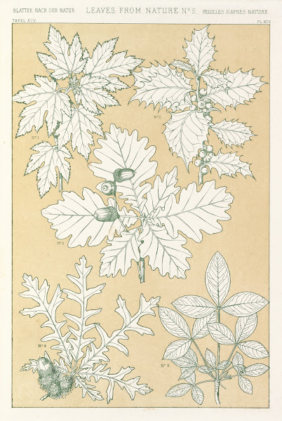 Leaves from Nature No5 1856