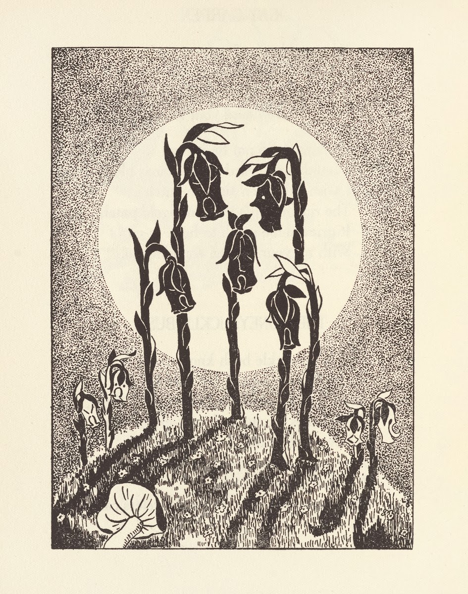 Gladiola Garden poems of outdoors and indoors for second grade readers Pl26 1940