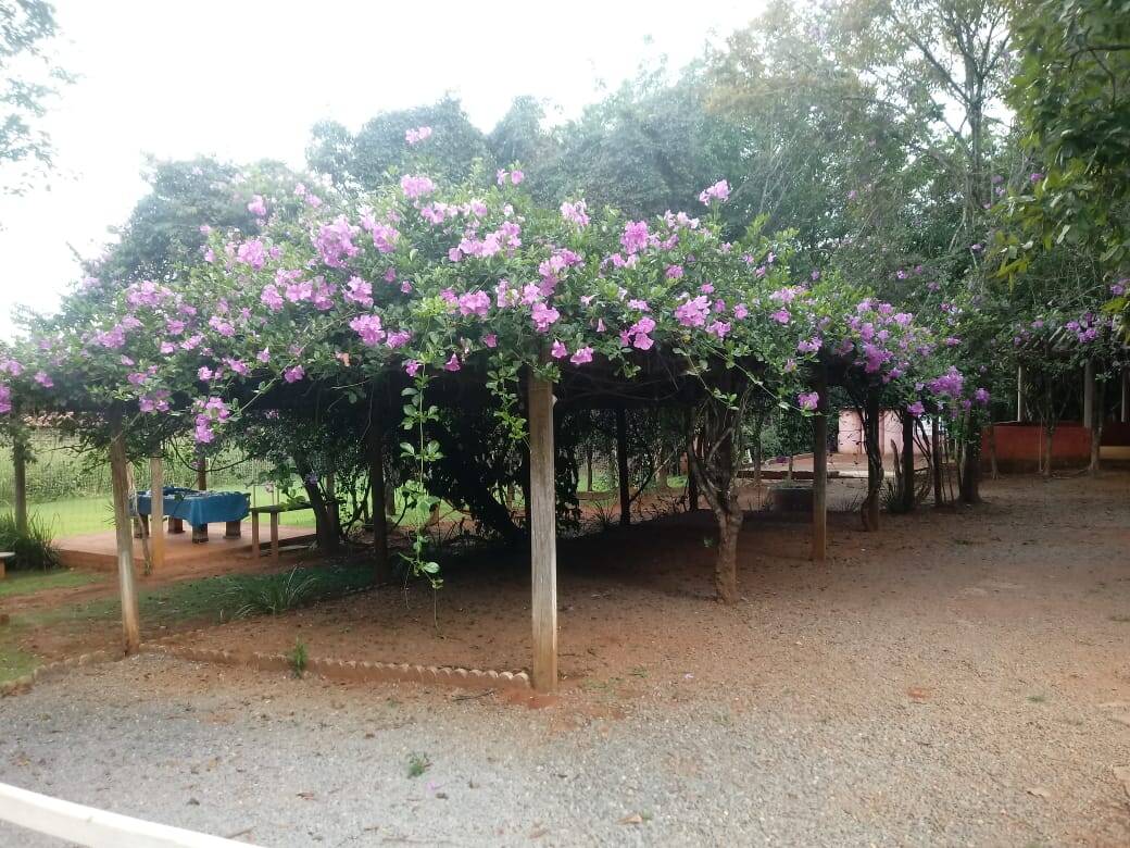 Chácara em Bela Vista de Goiás - GO 8