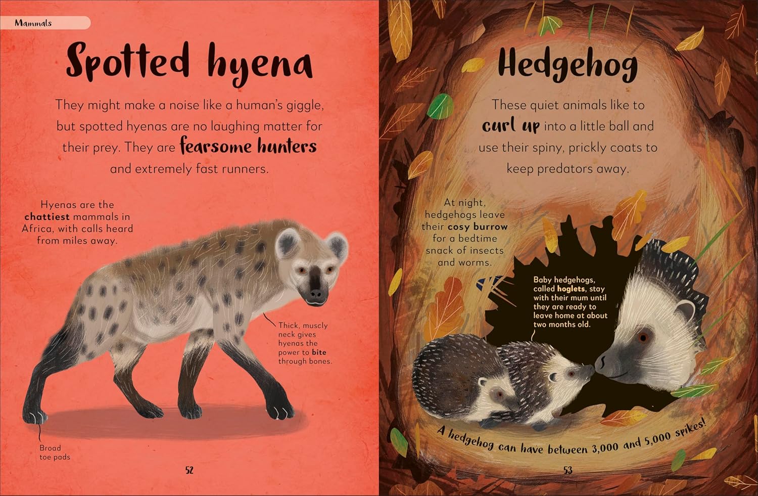 The Bedtime Book of Nighttime Animals - thumbnail 2