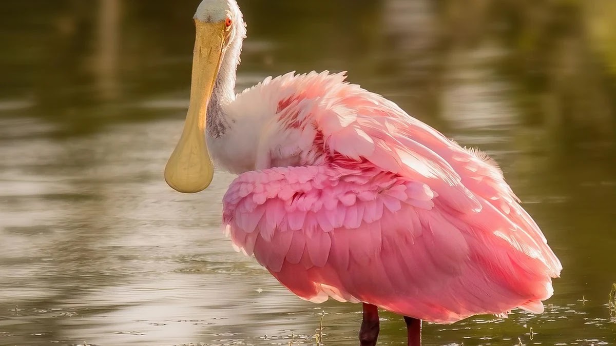 알뜰폰 전환 시 통신비 절약 예상 계산 방법과 사례