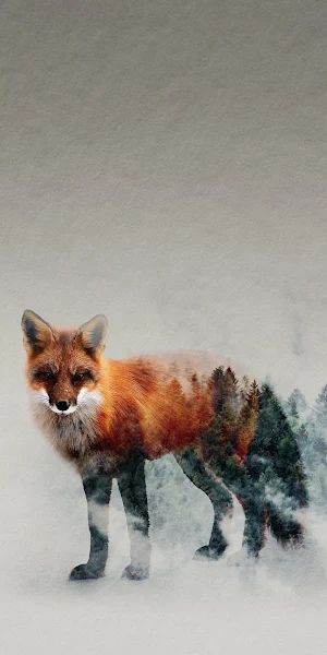 Red Fox, Carnivores, Canidae, Carnivore, Fawn 5K iPhone Wallpaper Background