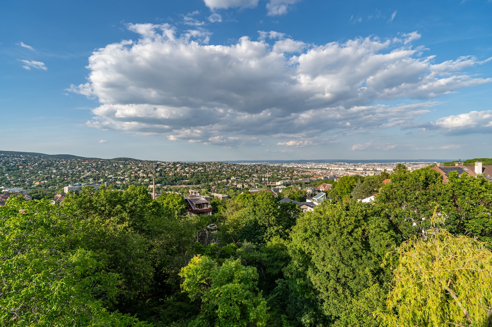 Budai panoráma zöld környezettel