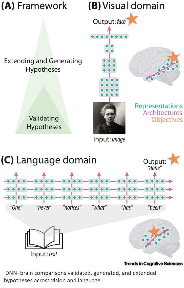 A decade of comparing brains to DNNs: Progress and perspectives