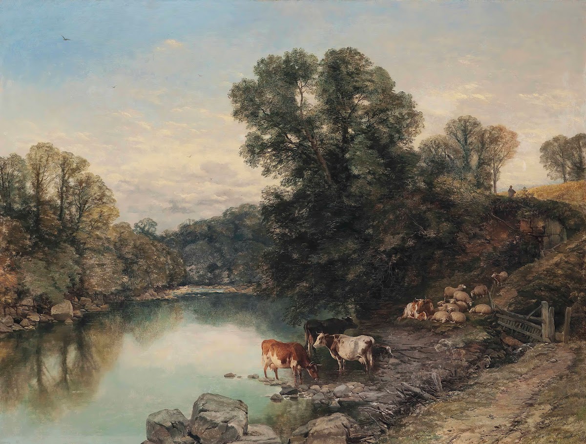 Cattle And Sheep At The Rivers Edge
