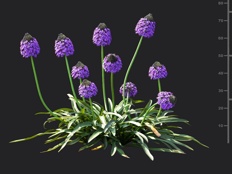 Maxtree - Plant Models Vol.115