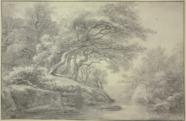 Stream at the edge of the forest