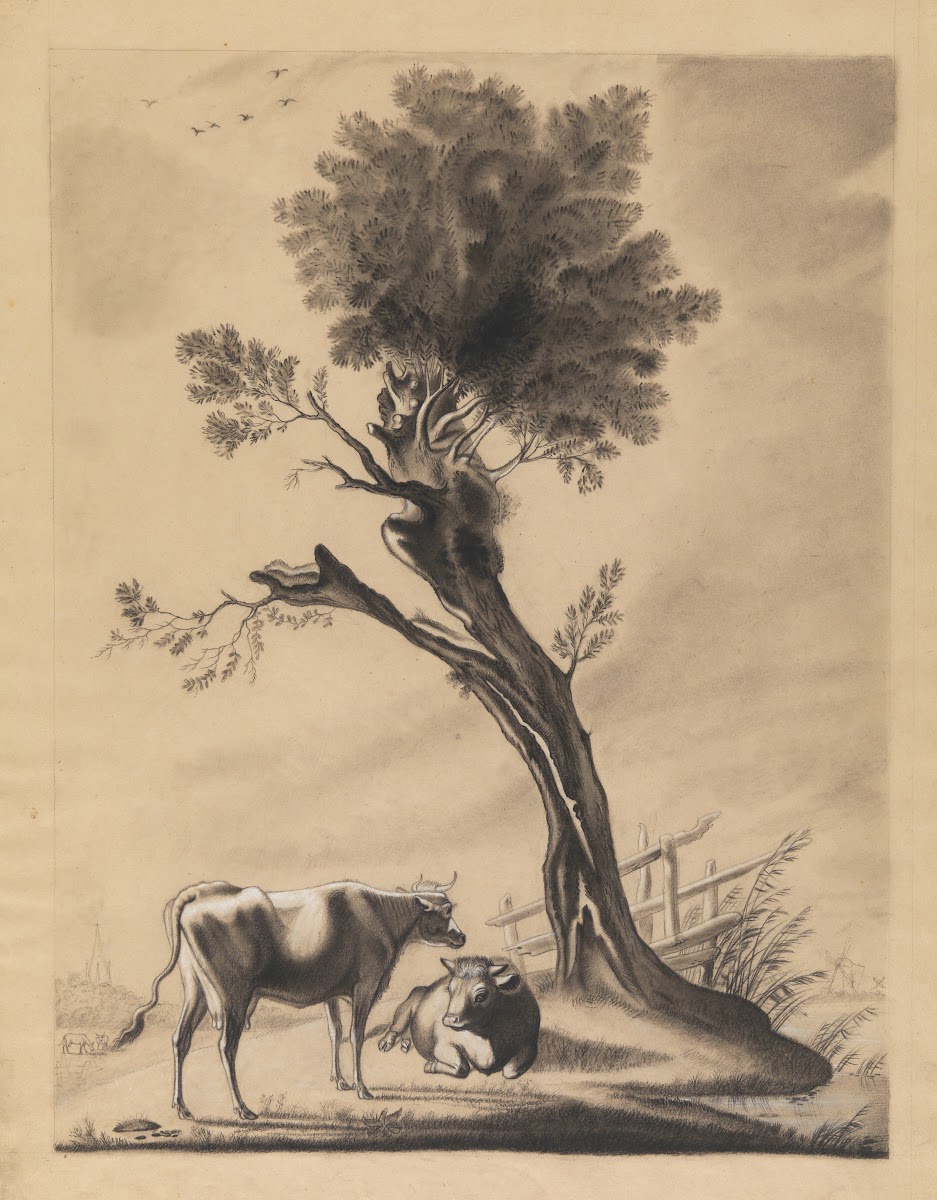 Cows in a landscape 19th century