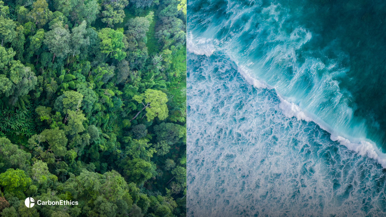 A split image featuring an aerial view of a dense green forest on the left and deep, turbulent ocean waves on the right.