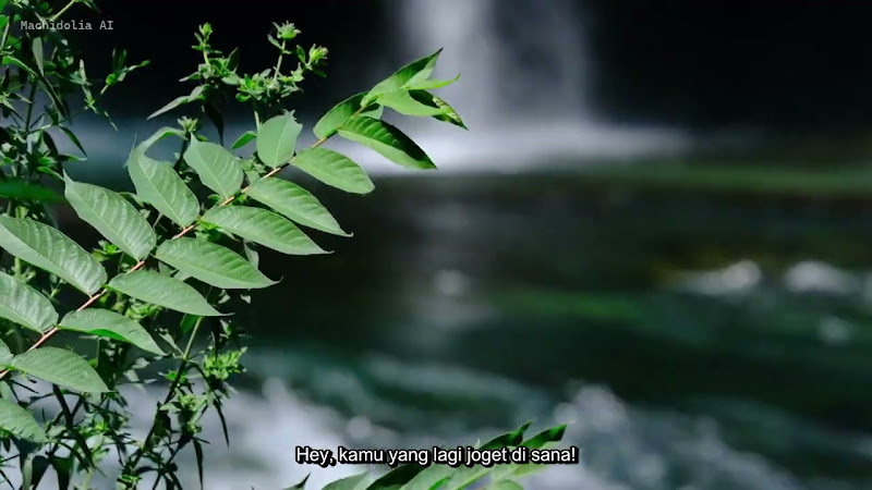 Music Video (nature)