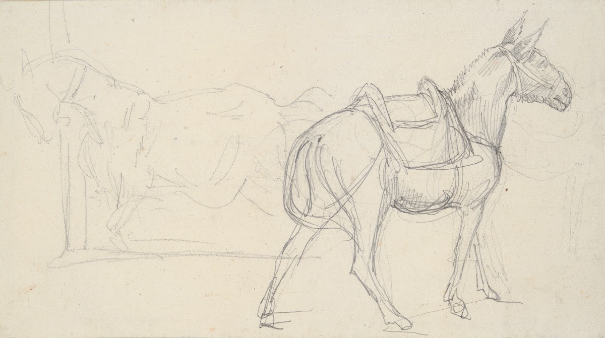 Sketch of aHorse 1817