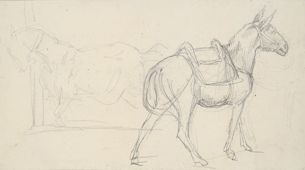 Sketch of aHorse 1817