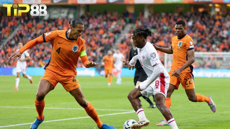 Phong độ của Malta vs Hà Lan