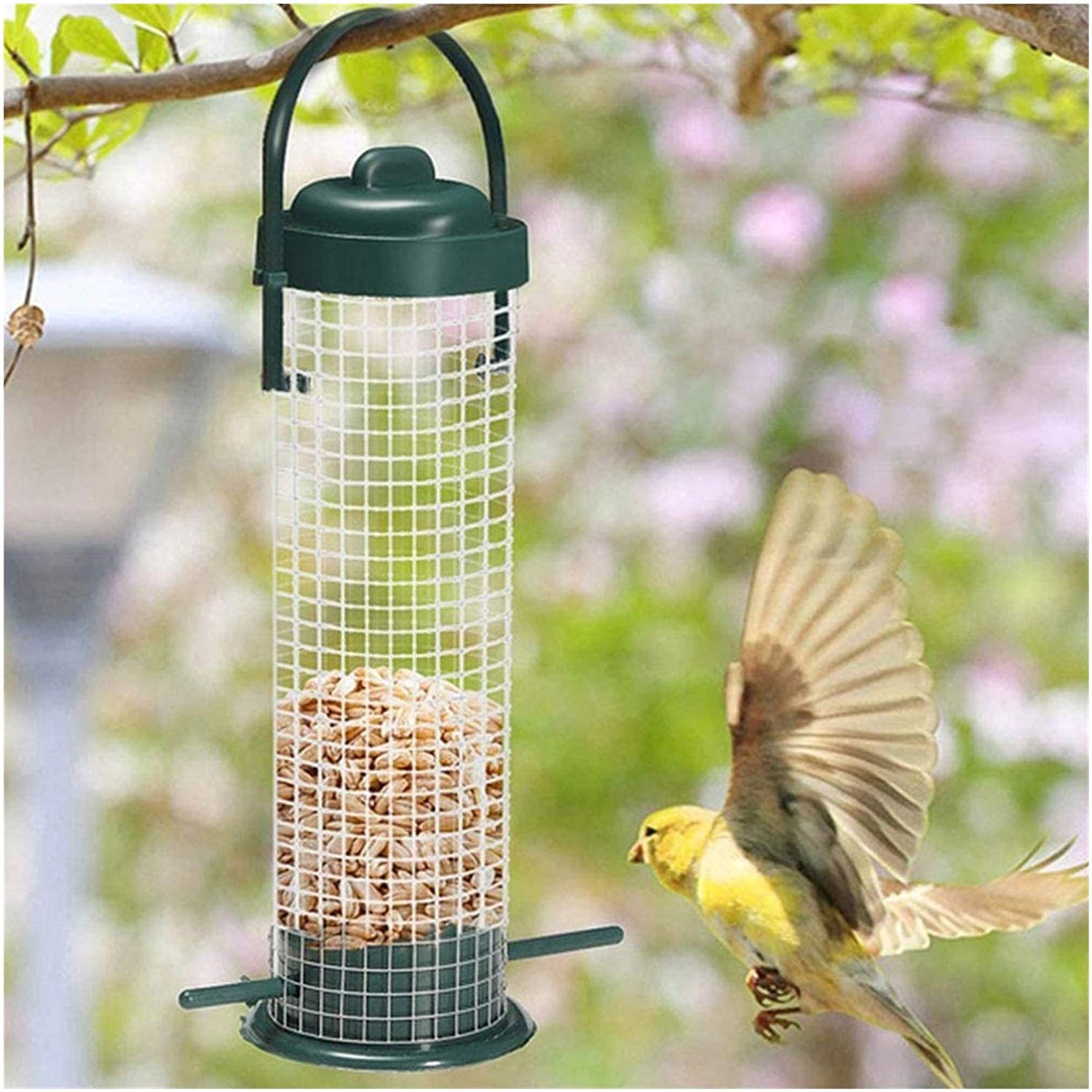 Hanging Bird Feeder for Outdoors