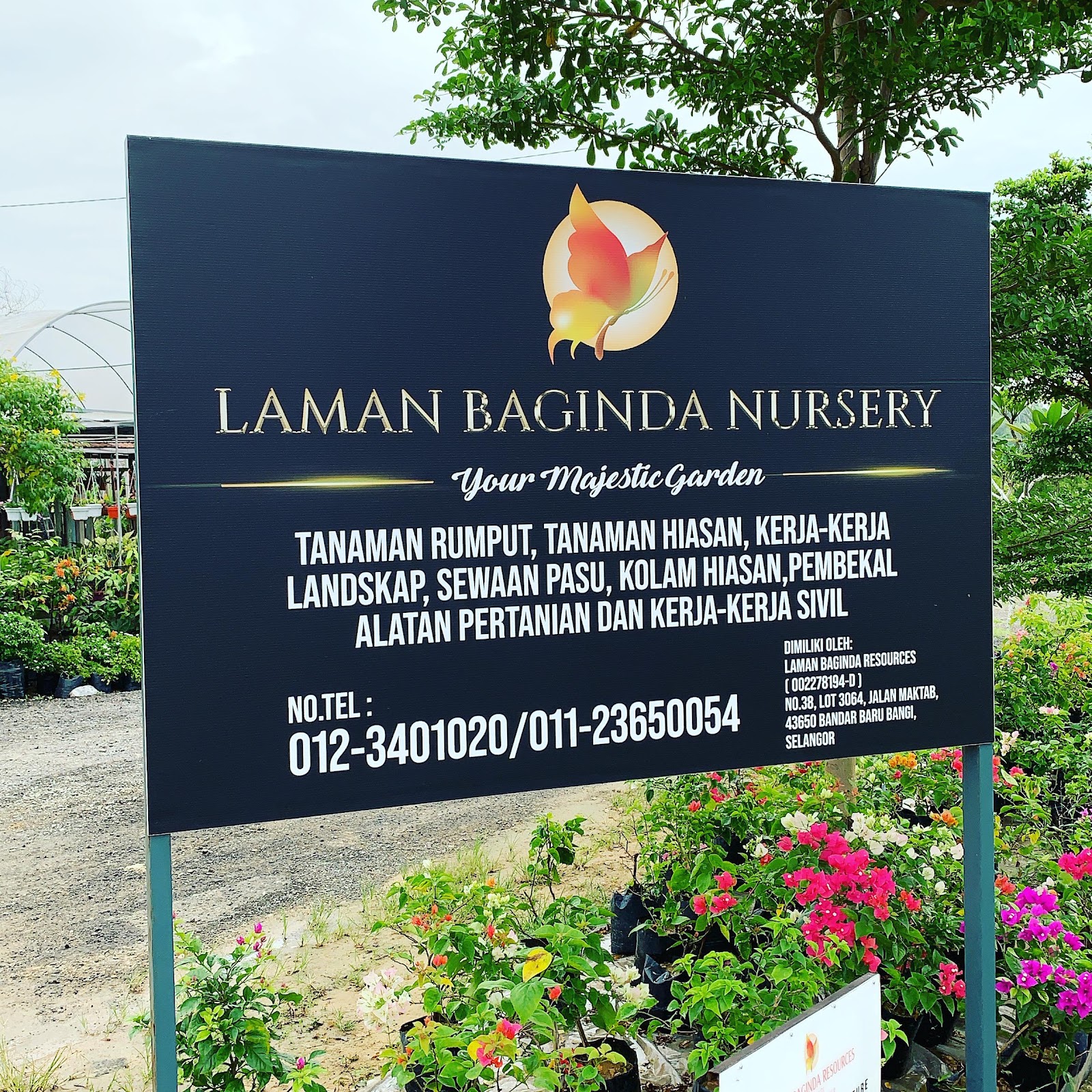 Laman Baginda Nursery