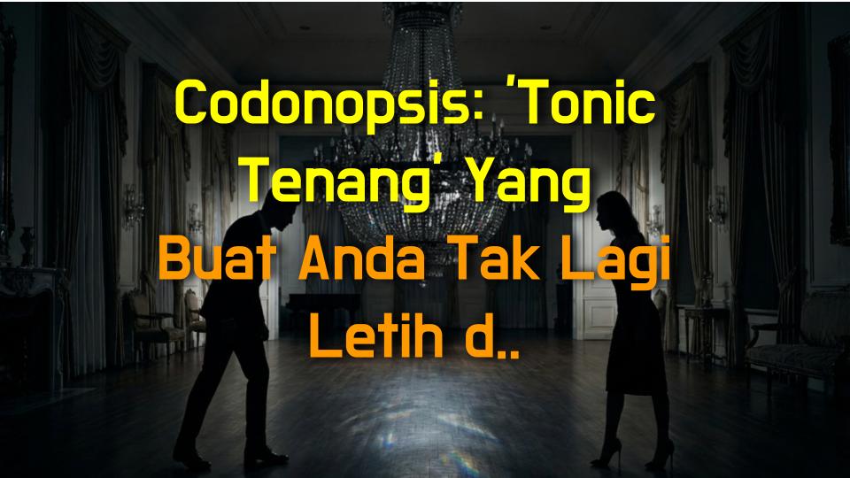 Codonopsis: Tonic Tenang Yang Buat Anda Tak Lagi Letih dan Sesak Nafas!