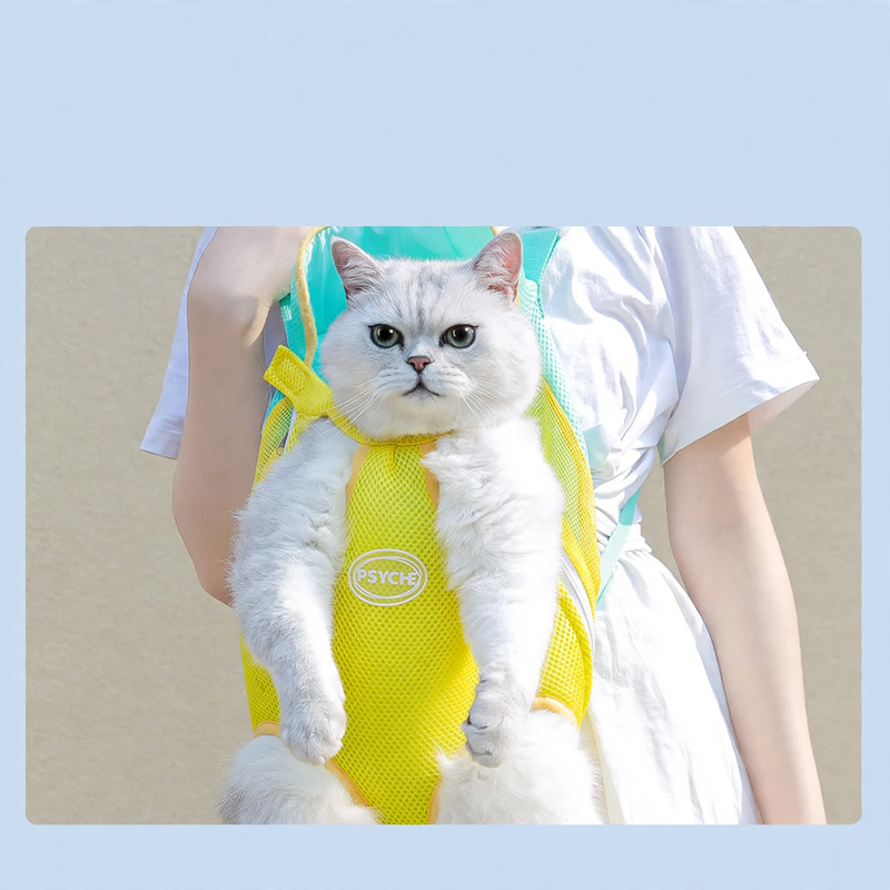 Portable Pet Bag, Chest Bag