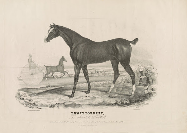 Edwin Forrest the celebrated trotter 1835