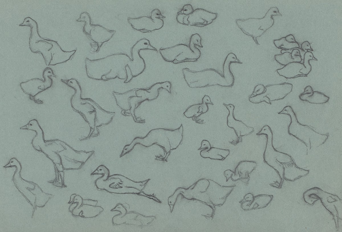 Study sheet with ducks 20th century