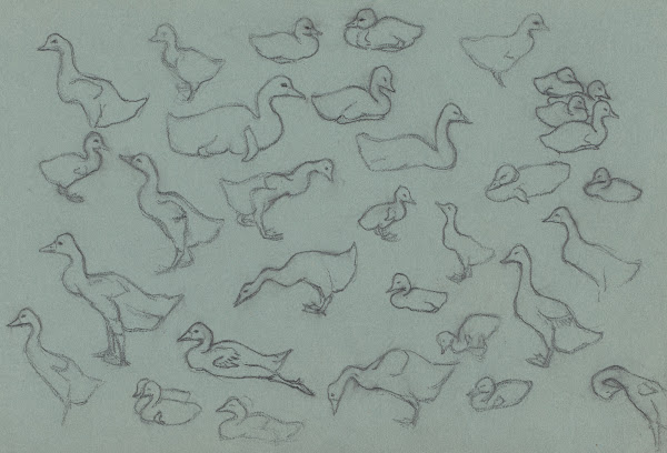 Study sheet with ducks 20th century
