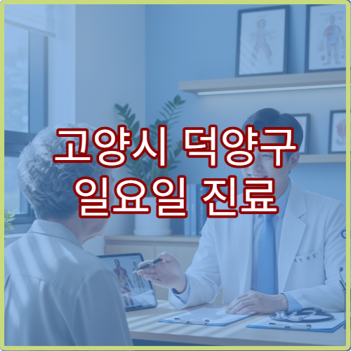 고양시 덕양구 일요일 진료 한의원 한방 진료 침 치료·추나요법 가능