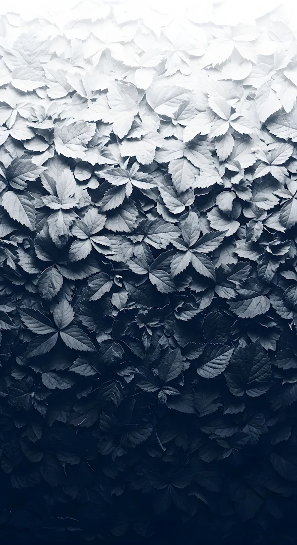 Monochromatic Leaf Gradient Texture Black to White