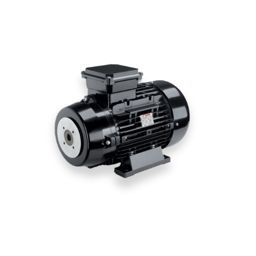 Double flange electric motor
